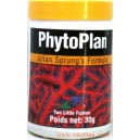 PHYTOPLAN