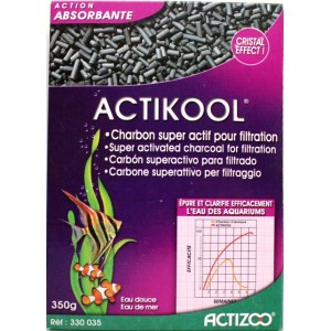 ACTIKOOL 350 GR CHARBON