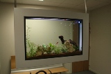 Aquarium suspendu SLIM 110 dans une entreprise