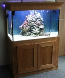 Aquarium d'eau de Mer SOFT chez NETPAIE SA