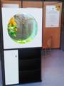 Aquatium AQUADECO Netpaie